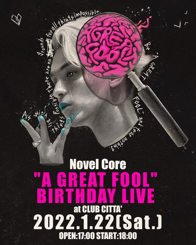 Novel Core A GREAT FOOL CD＋DVD Zine付き - 邦楽