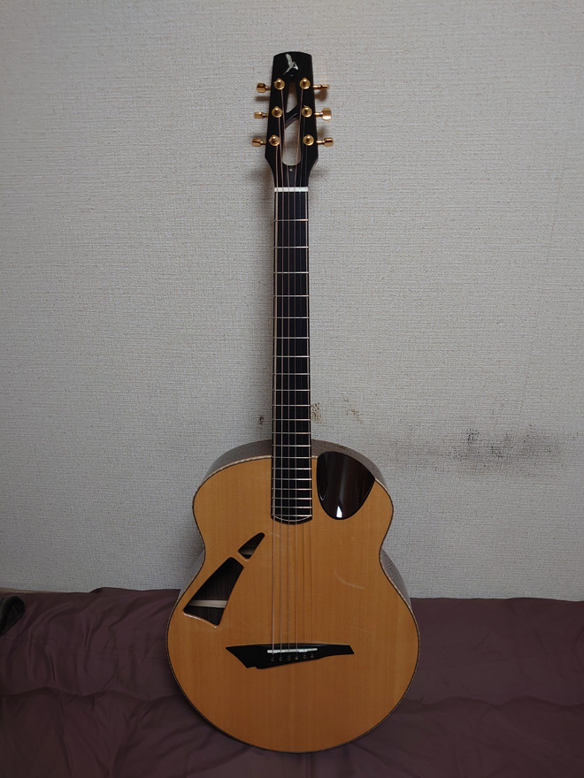日本最級 驚愕 18弦ギター
