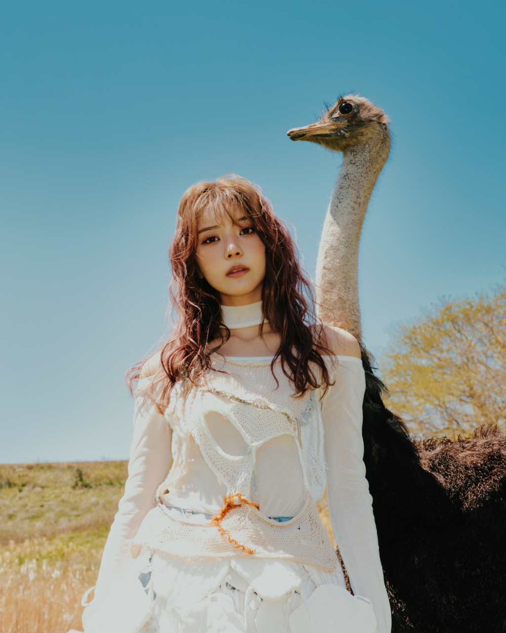 Amazon.co.jp: JUJU 花 FC限定盤 ジュジュ : Toys & Games - 邦楽