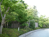 １）とある赤坂、新緑の季節、の図