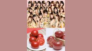 「野菜が似合う有名人」1位はAKB48、「一緒に野菜を育てたい有名人」1位はTOKIO