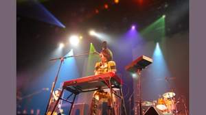 キノコホテル、赤坂BLITZで1200人を前に2012年初ライブ