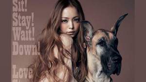 『レコチョク年間ランキング2012』、安室奈美恵、スギちゃん強し 