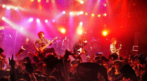 Rayflower、8月24日赤坂BLITZ公演決定