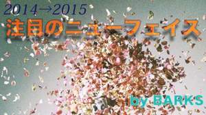 【新人大特集】フェスで斬る、2014年に来た＆2015年に来るニューフェイス