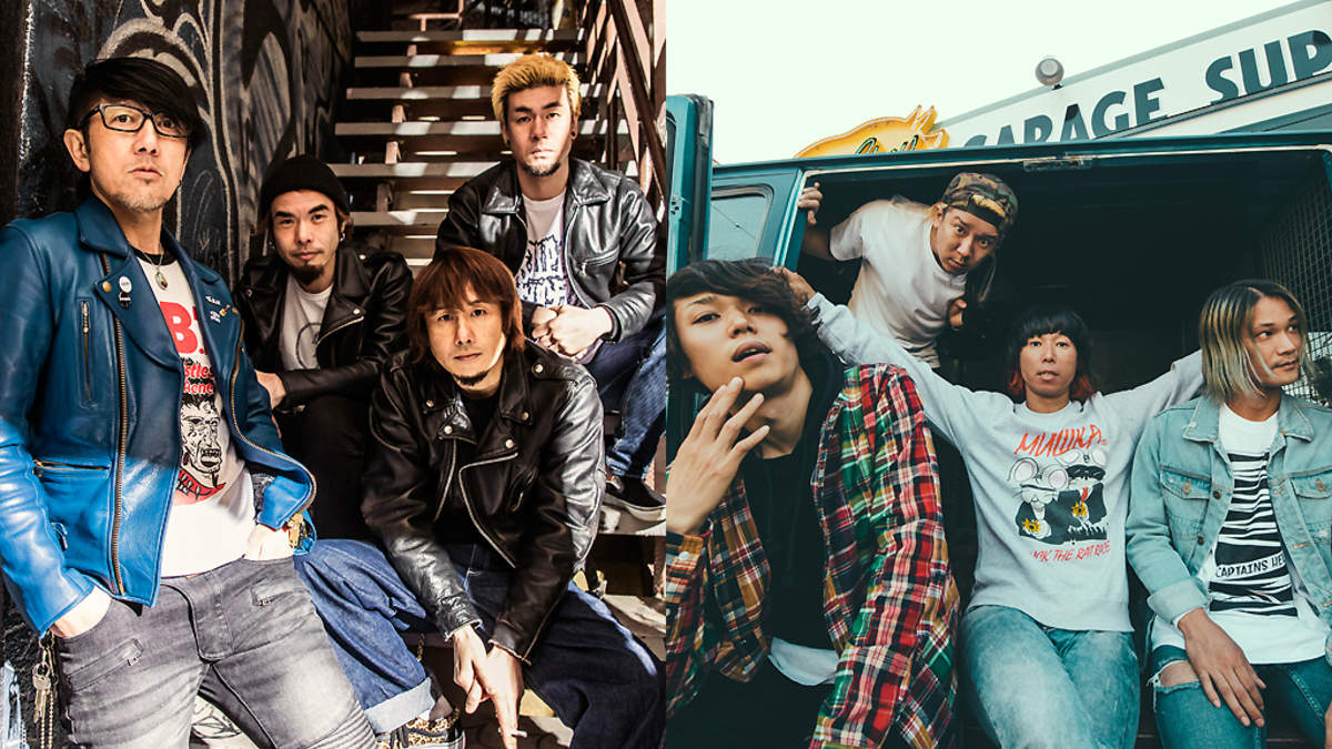 Ken Yokoyama VS NAMBA69、両者のミュージックビデオ公開 | BARKS
