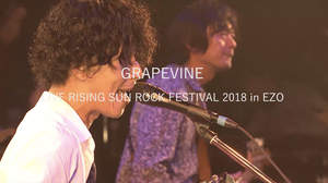 GRAPEVINE、ニューアルバムに＜RSR＞ライブ映像を完全収録
