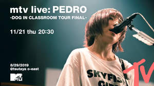 PEDRO、全国ツアーファイナル公演をMTVで独占放送
