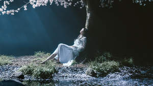 Aimer、「Fate/stay night [Heaven's Feel]」とのコラボMVを72時間限定で公開