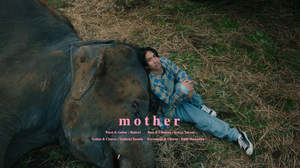 マカロニえんぴつ、象で“母なる大地”をシンボリックに魅せた「mother」MV