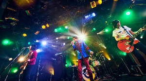 THE COLLECTORS、『LIVING ROOM LIVE SHOW』第13弾配信決定