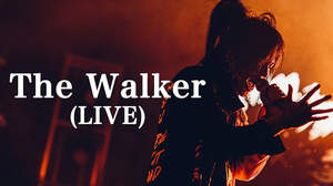 DEZERT、初の日比谷野音ワンマンより「The Walker」ライヴ映像公開